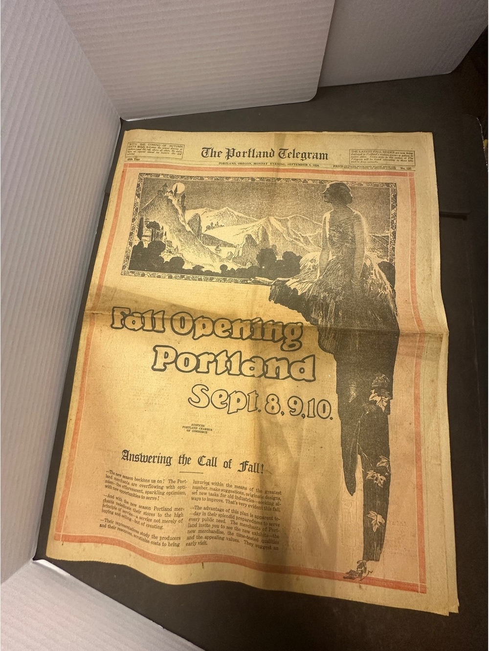 Antique 1924 Portland Telegram Newspaper Fall Opening Oregon Fashion Ads